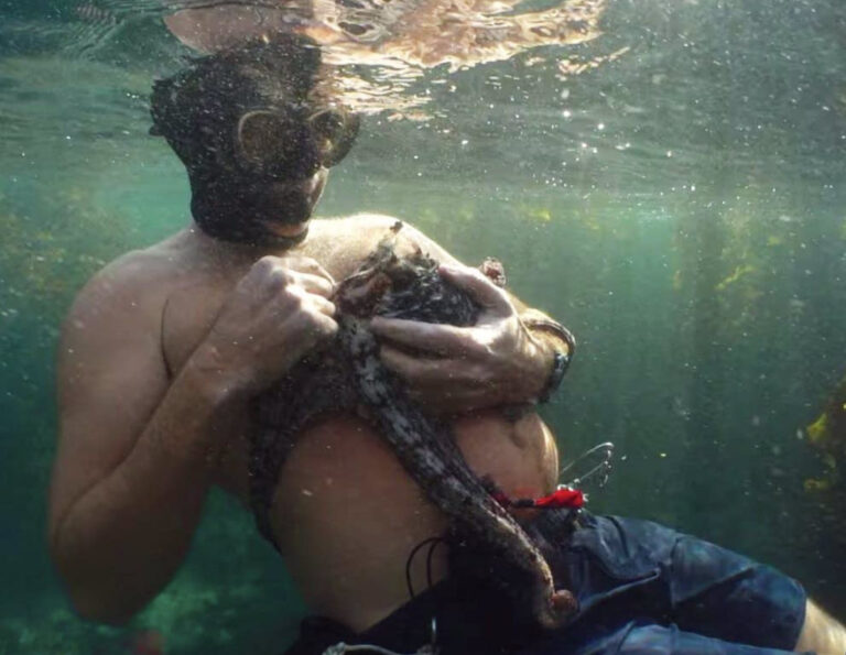 Read more about the article My Teacher Octopus