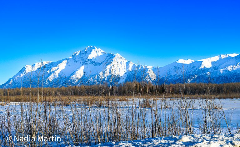 Read more about the article Life in Alaska: What It’s Really Like to Live in the Last Frontier