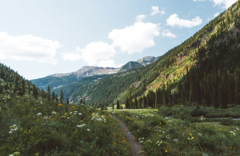 Read more about the article Life in Colorado: What It’s Really Like Living in the Centennial State